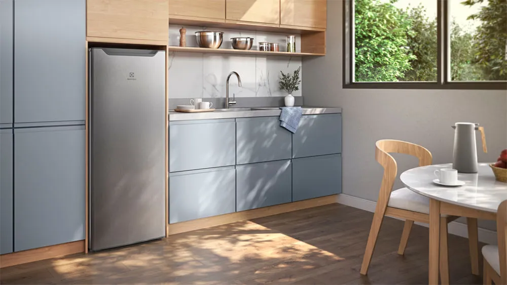 Geladeira Electrolux 213L Uma Porta com Freezer Duas Estrelas Cor Inox (RE21S)