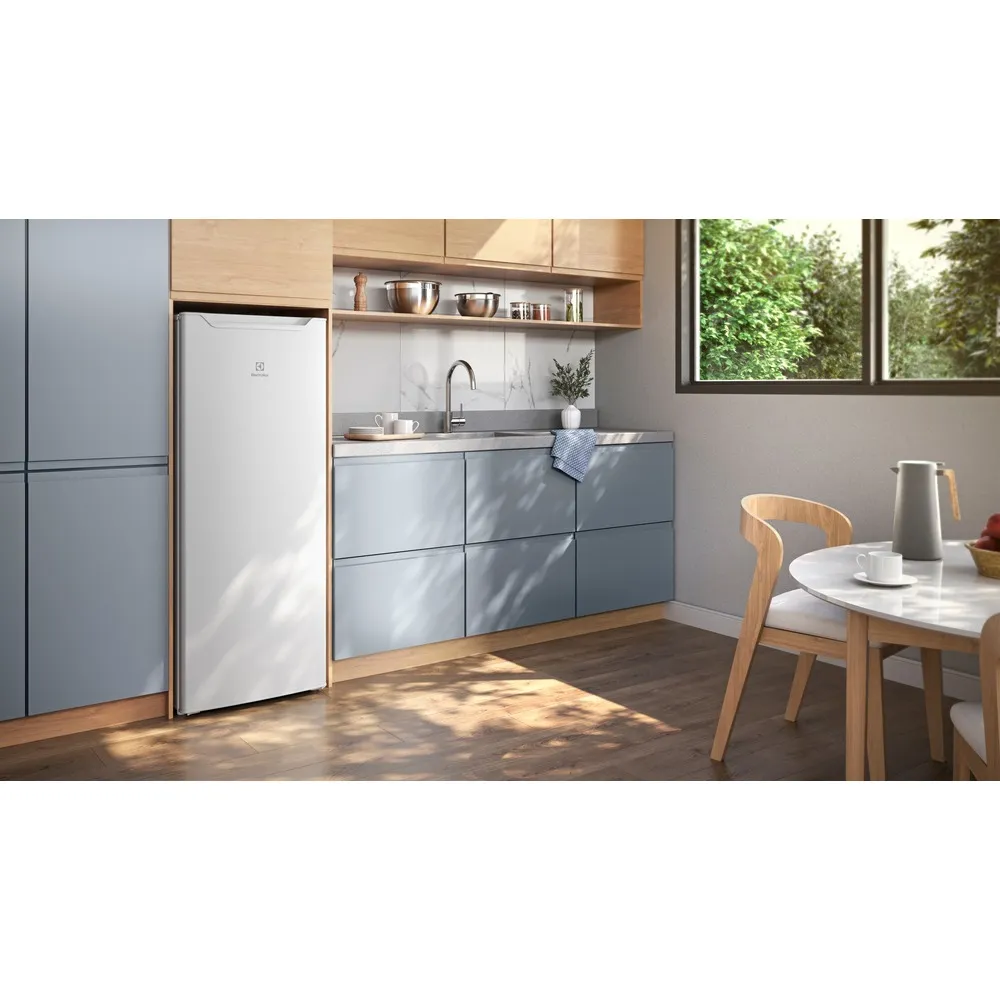 Geladeira Electrolux 213L Uma Porta com Freezer Duas Estrelas Inverter Branca (RE21)