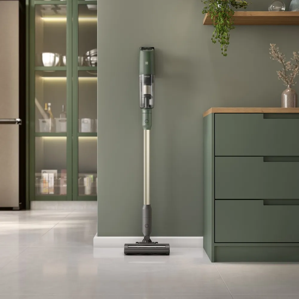 Aspirador de Pó Vertical Sem Fio Electrolux Ergorapido Verde Linha 100 anos Celebre Bem-Estar (PTEC200)