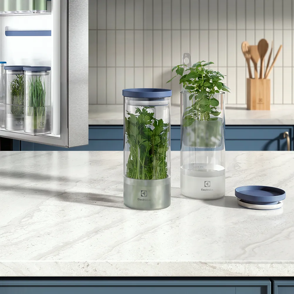 Potes Herméticos Electrolux de Vidro para Temperos Frescos e Hortaliças 2 Unidades