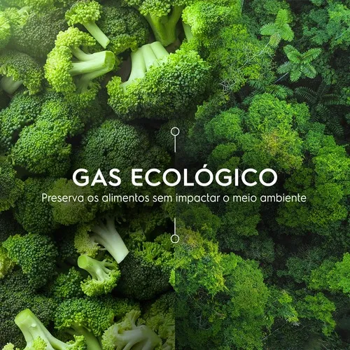 Adega de Vinho Climatizada Electrolux 29 Garrafas com Dual Zone e Painel Digital (WDF29)